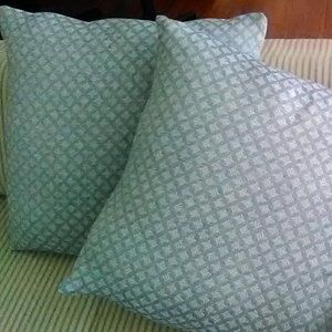 Pair of Pillows w/ covers